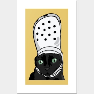 Pope Cat I Posters and Art